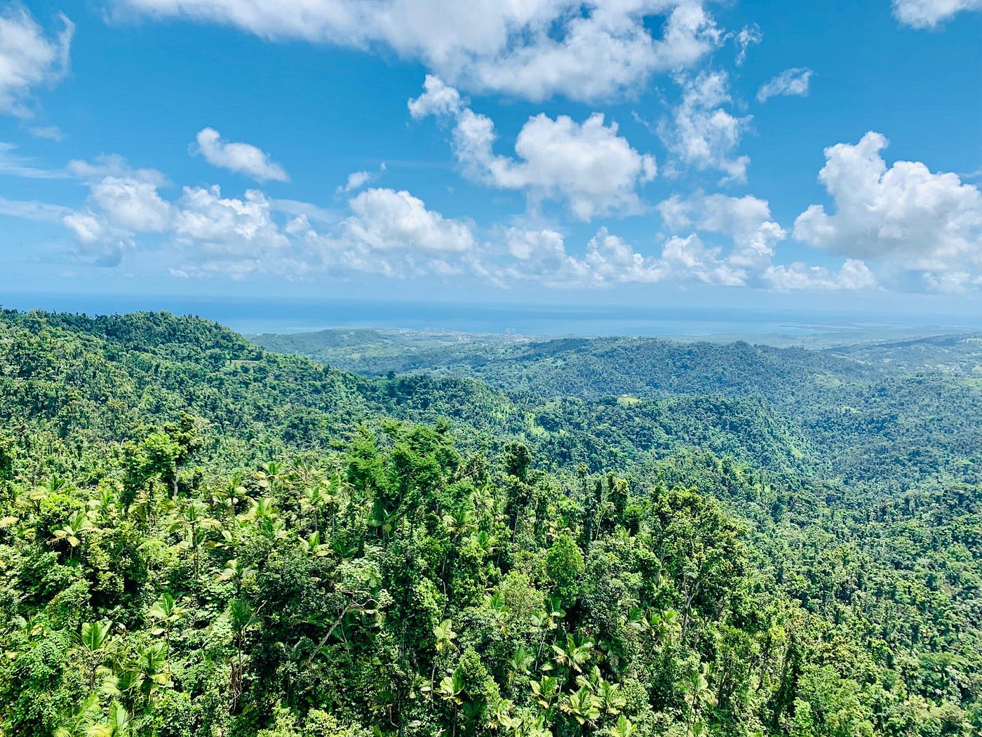 1400x1050 Breathtaking Views Always a Must at El Yunque Rainforest. by Debbie's Reflection