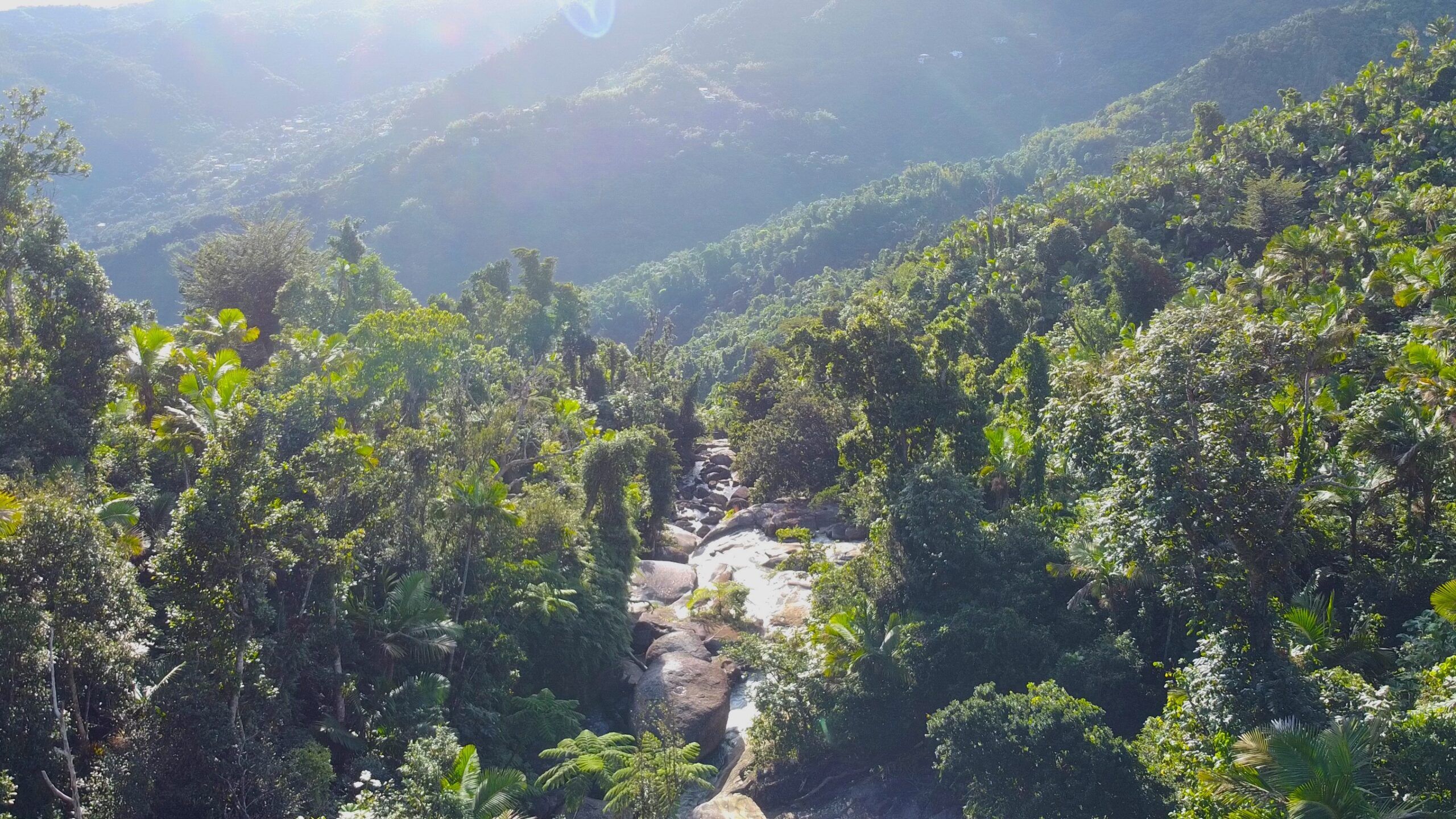 2560x1440 El Yunque Infinity Pool. Naguabo, Puerto Rico