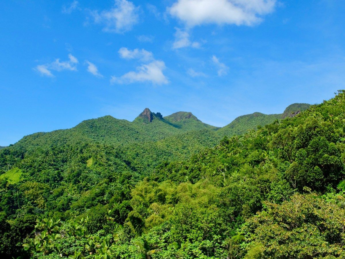 1200x900 Puerto Rico: El Yunque & Santurce