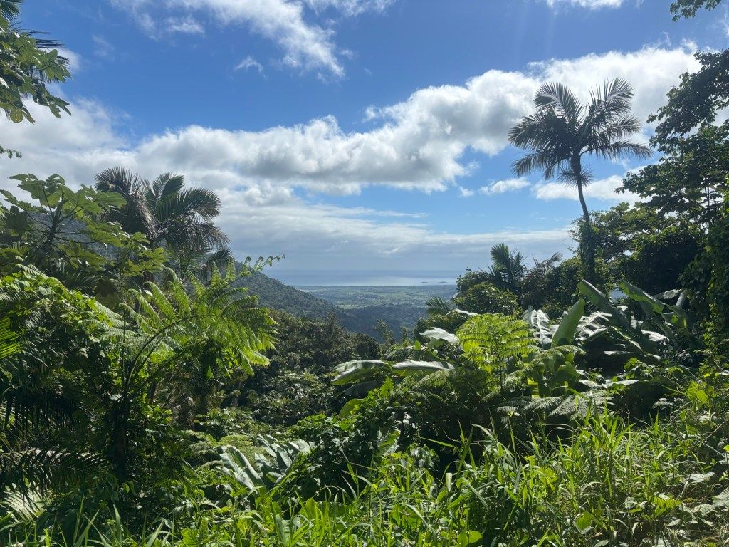 1024x768 Exploring El Yunque & Vieques: A Family Itinerary for Puerto Rico