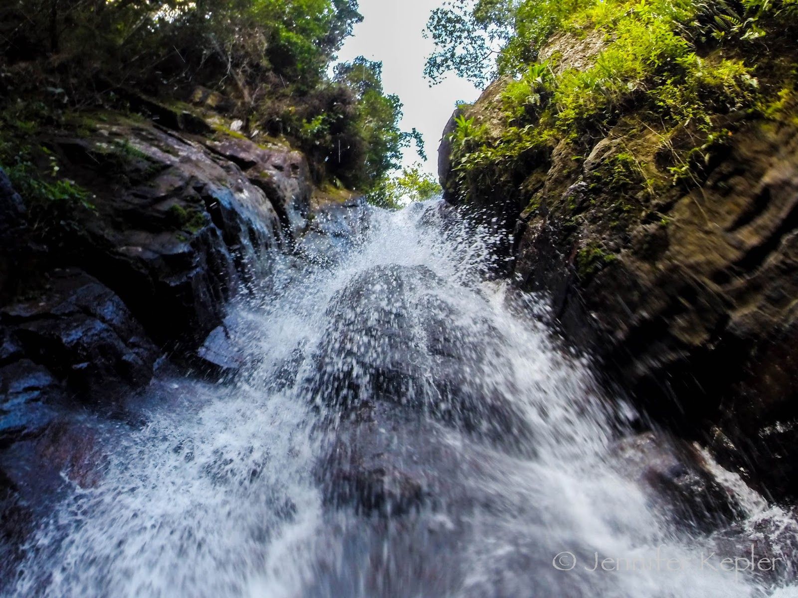 1600x1200 Snapshots of Nature: A Tropical Escape: Puerto Rico