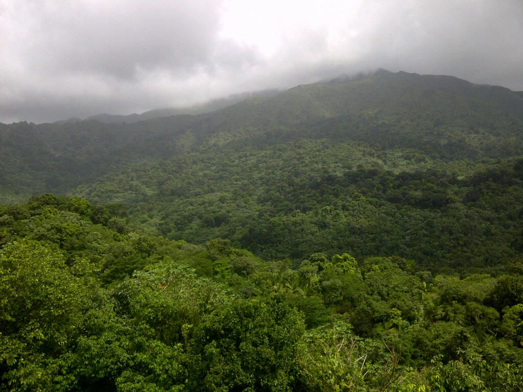 1024x768 El Yunque