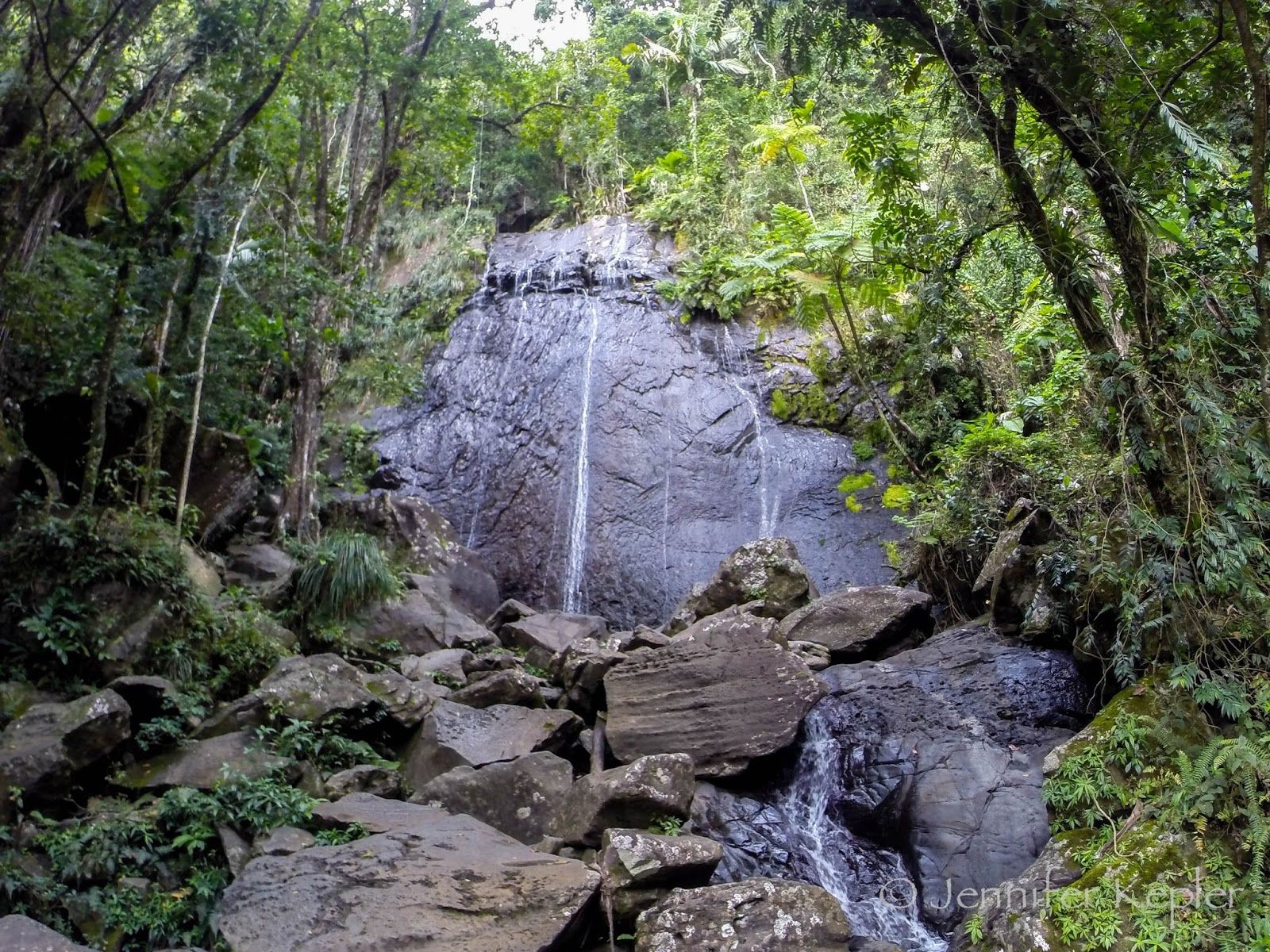 1600x1200 Snapshots of Nature: A Tropical Escape: Puerto Rico