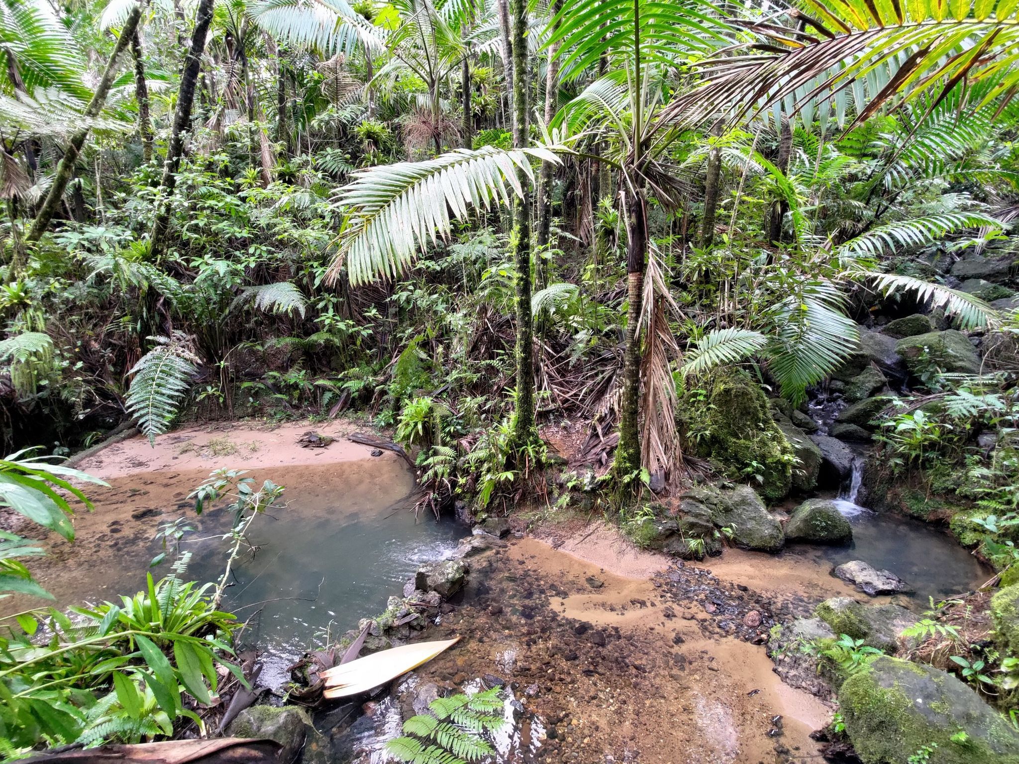 2048x1536 The best walks and hikes in El Yunque National Forest