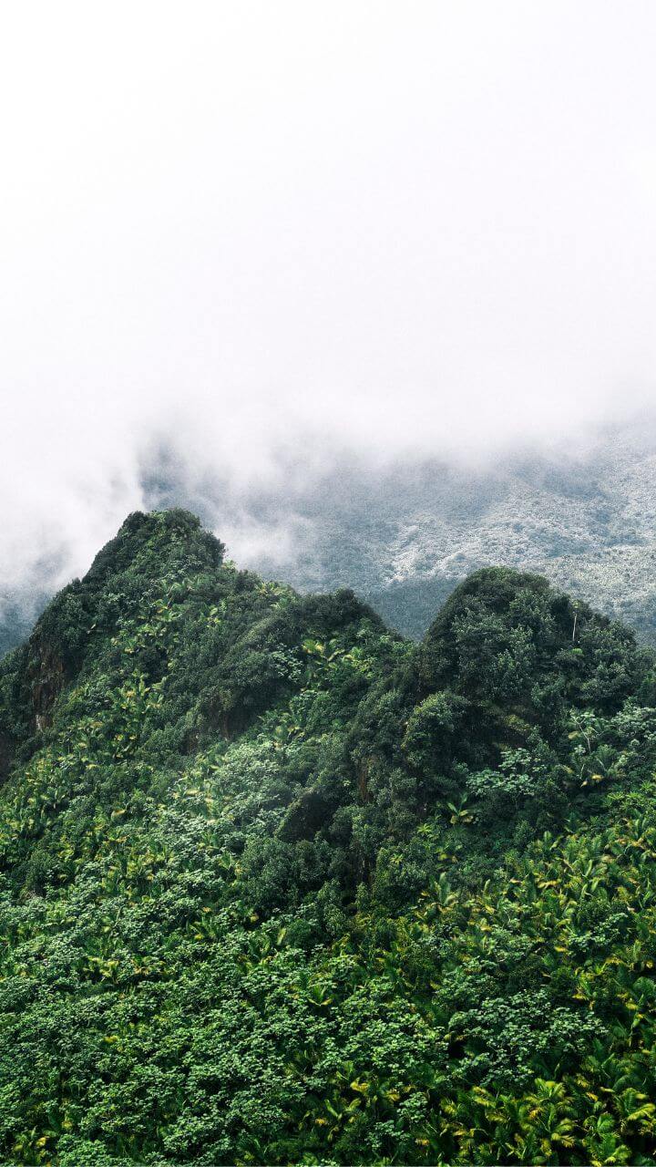 720x1280 Best Activities and Tours in El Yunque National Rainforest