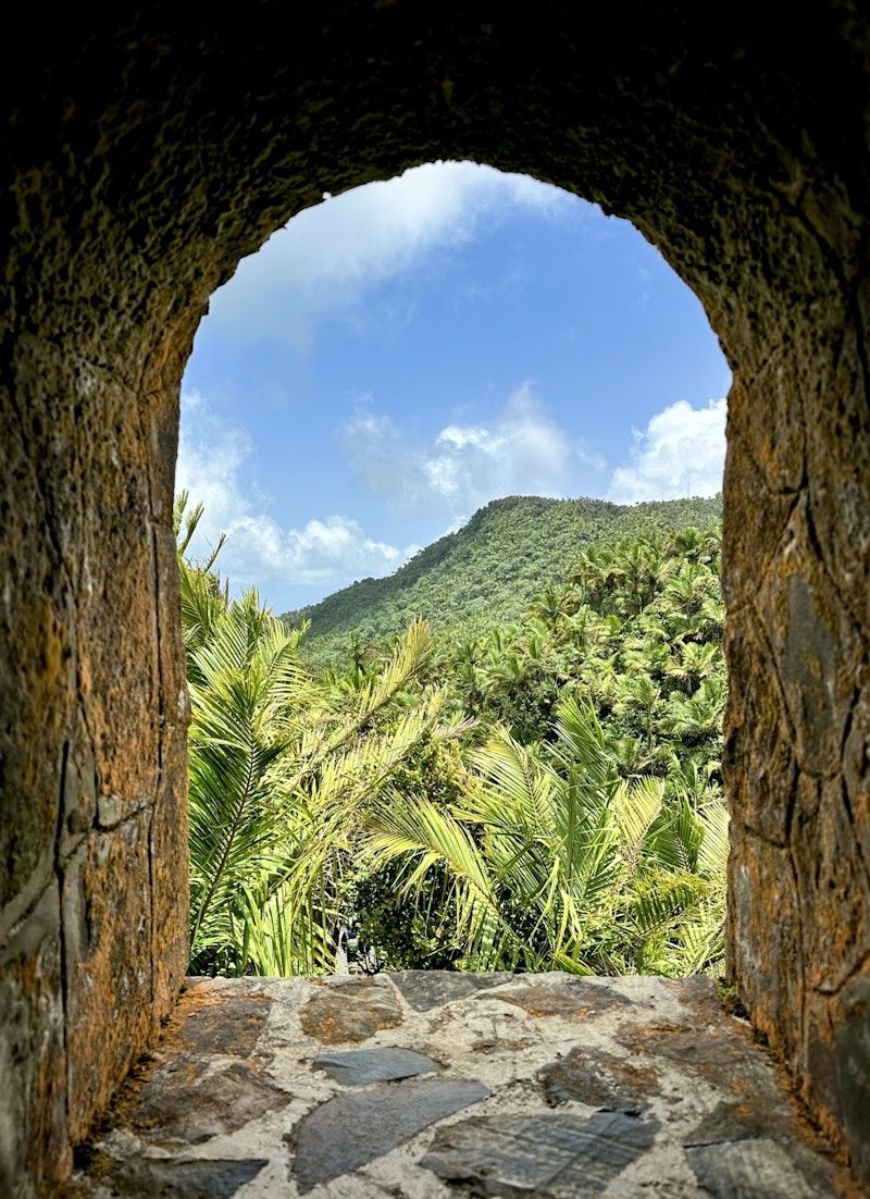 800x1102 El Yunque National Forest