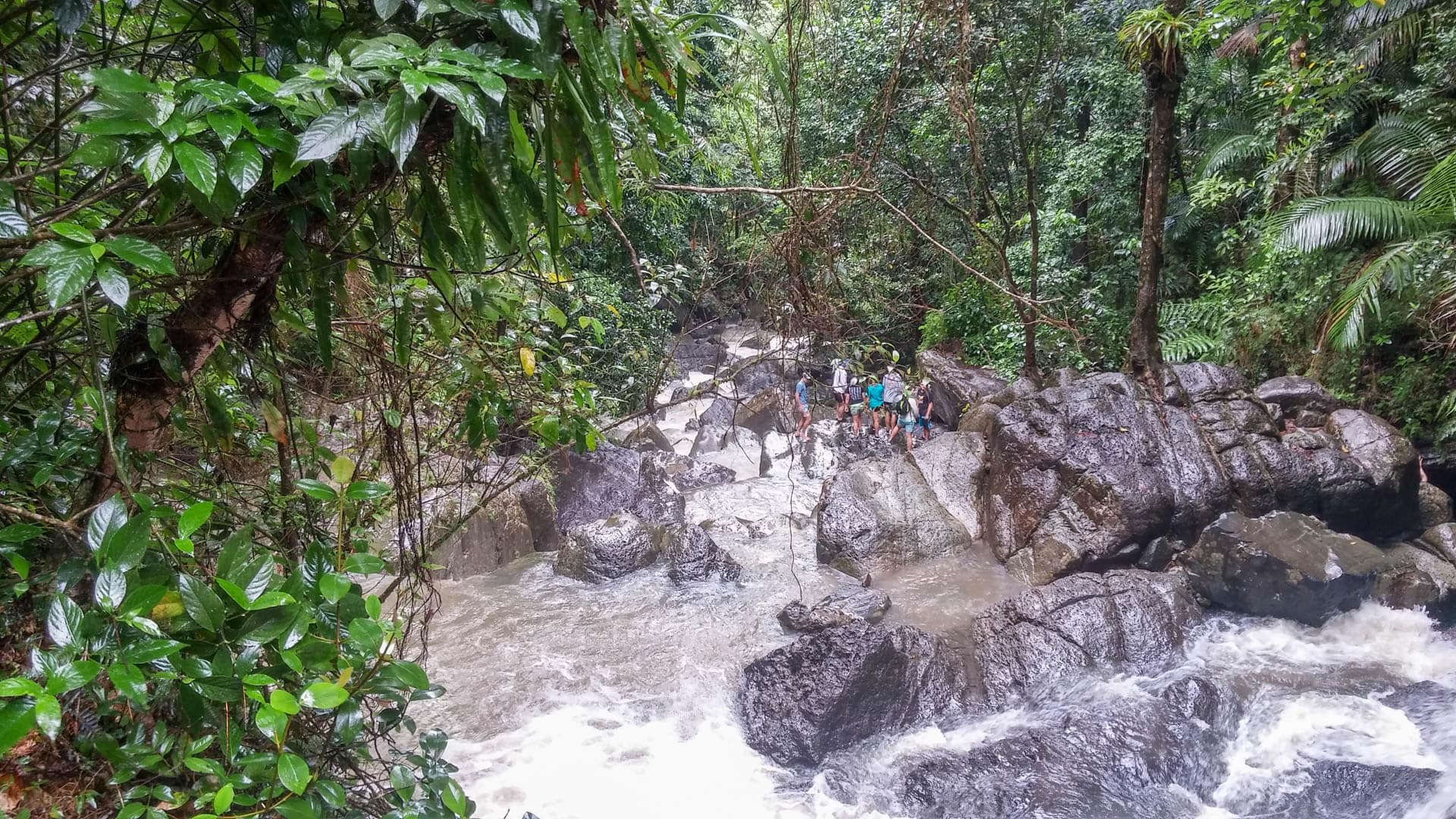 1920x1080 El Yunque Rico 1streetover travel blog travel