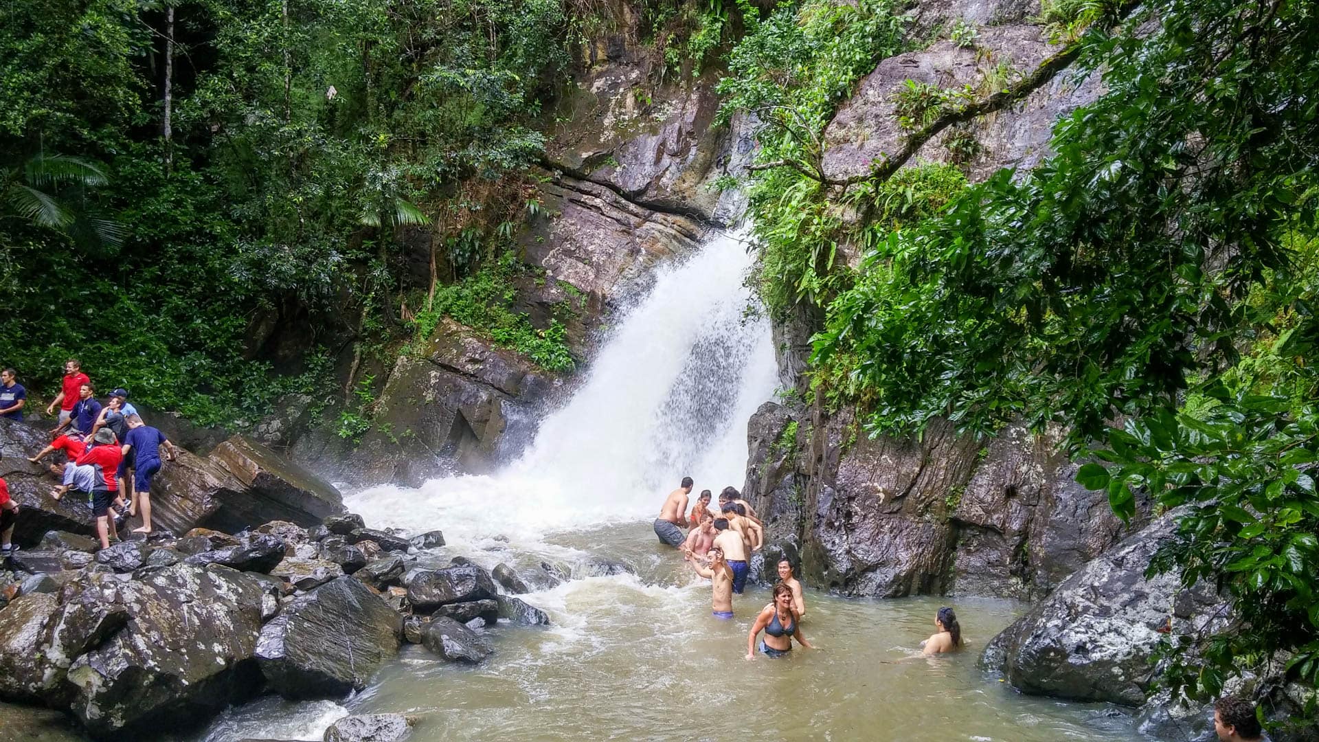 1920x1080 El Yunque Rico 1streetover travel blog travel