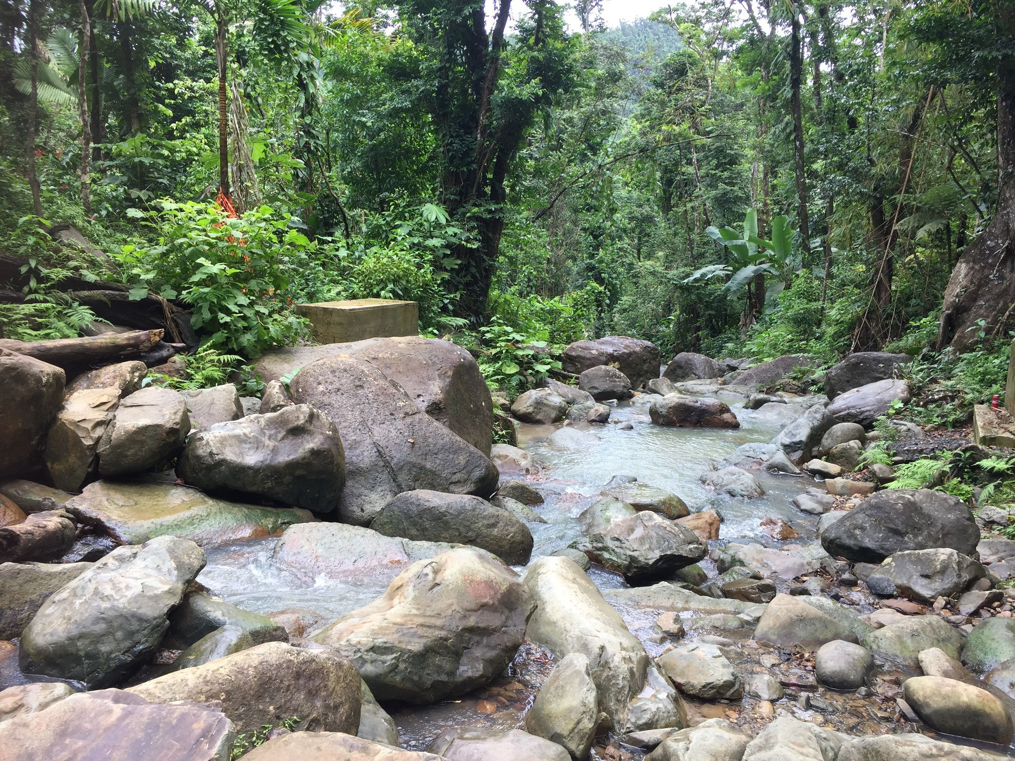 2048x1536 The best walks and hikes in El Yunque National Forest