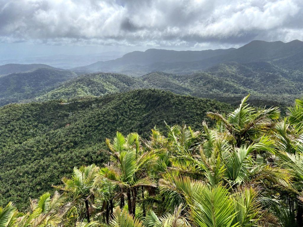 1024x768 el yunque national park