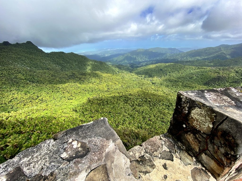 1024x768 el yunque national park