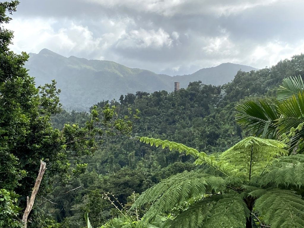 1024x768 el yunque national park