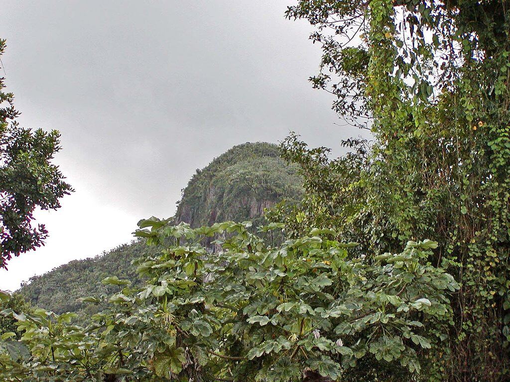 1024x768 El Yunque: The Heart of Puerto Rico's Tropical Wilderness