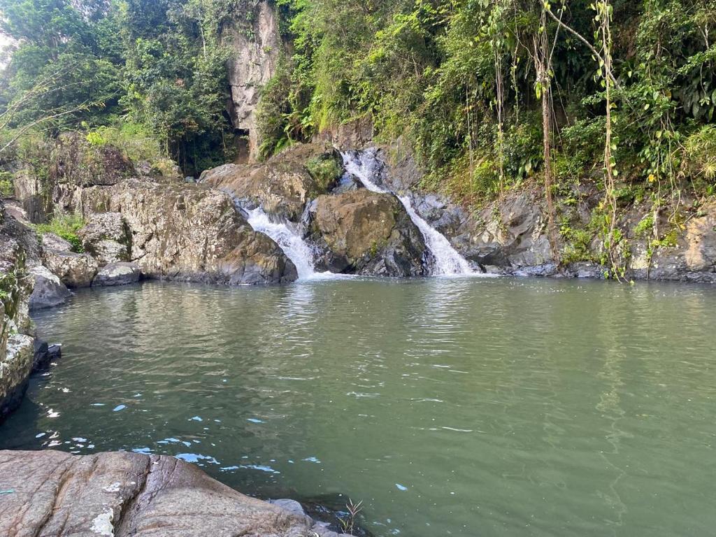 1024x768 Wild Dome El Yunque Zone Puerto Rico, Canovanas (updated prices 2026)