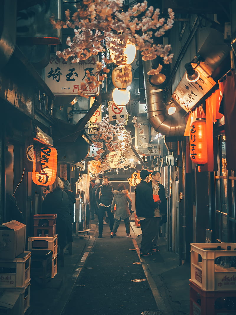 800x1067 Japan during night, china, city, had, new, street, HD phone wallpaper