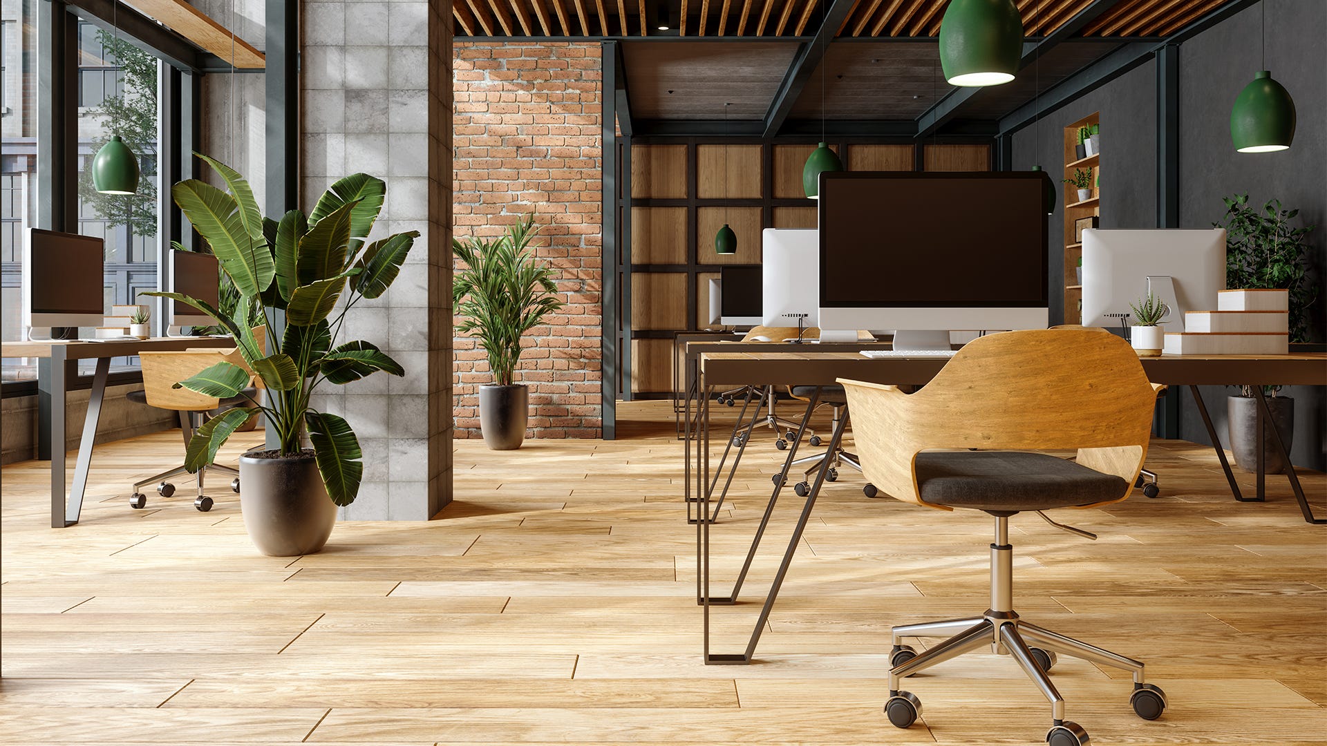 1920x1080 Which Plants Work Best In Office Environments?