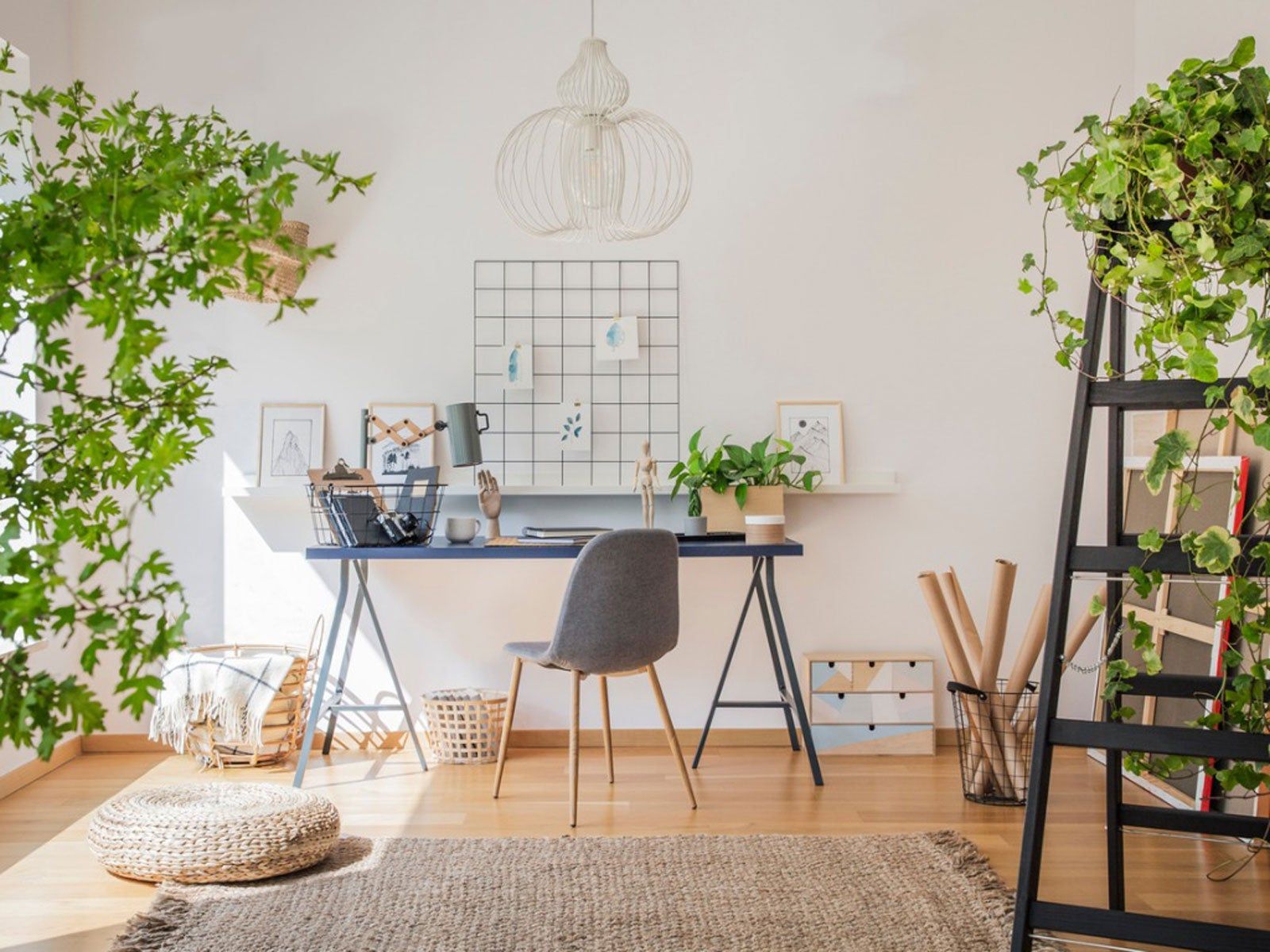 1600x1200 Work At Home Office Space Plants: Houseplants For A Home Office. Gardening Know How