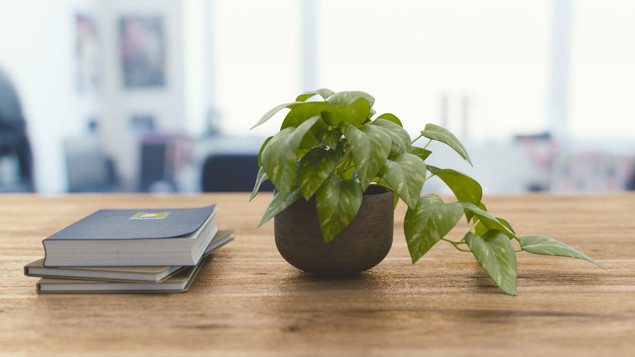 2048x1152 Compliment Home Décor with Plants