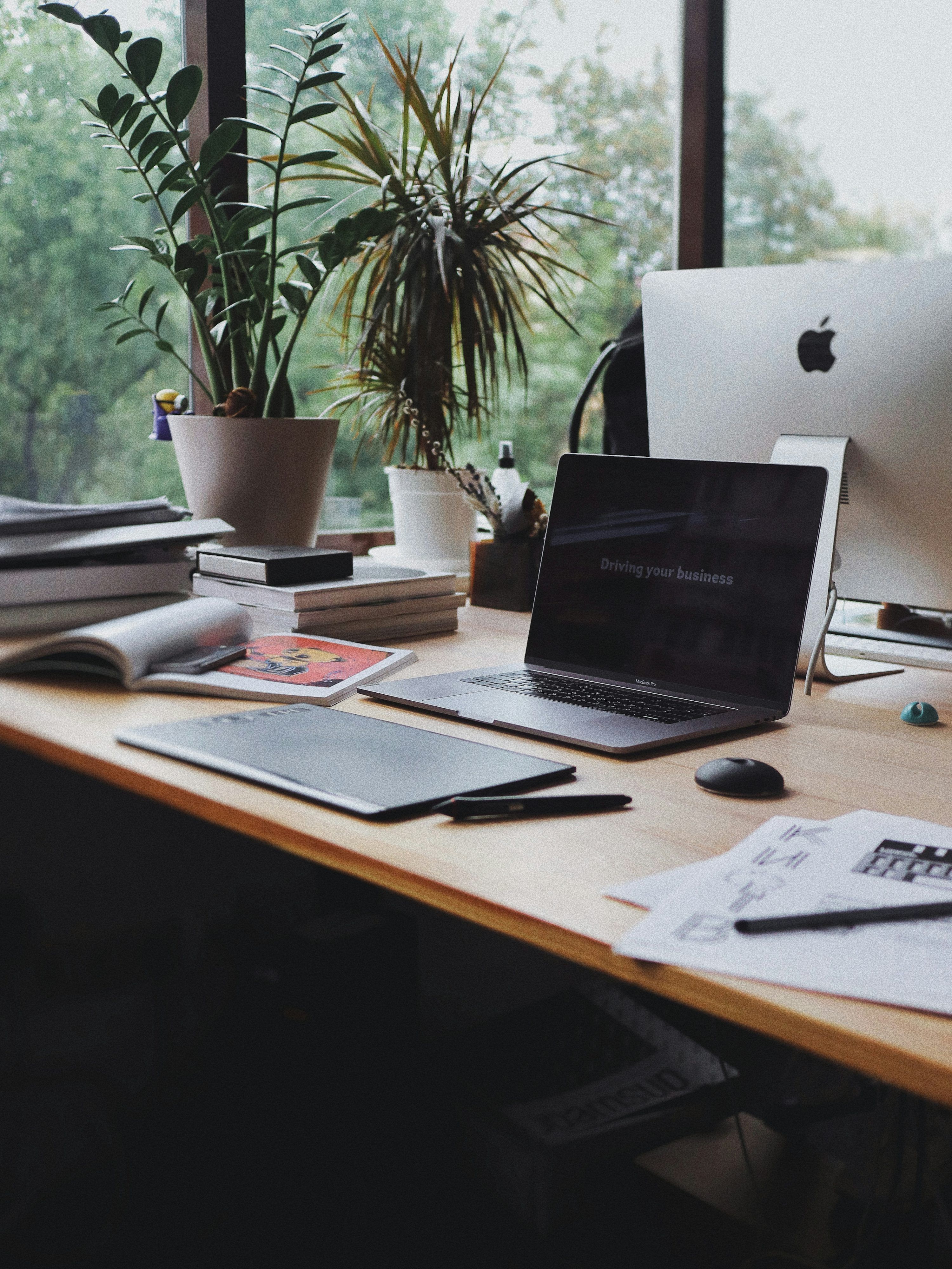 3000x3999 Office Plants Picture. Download Free Image