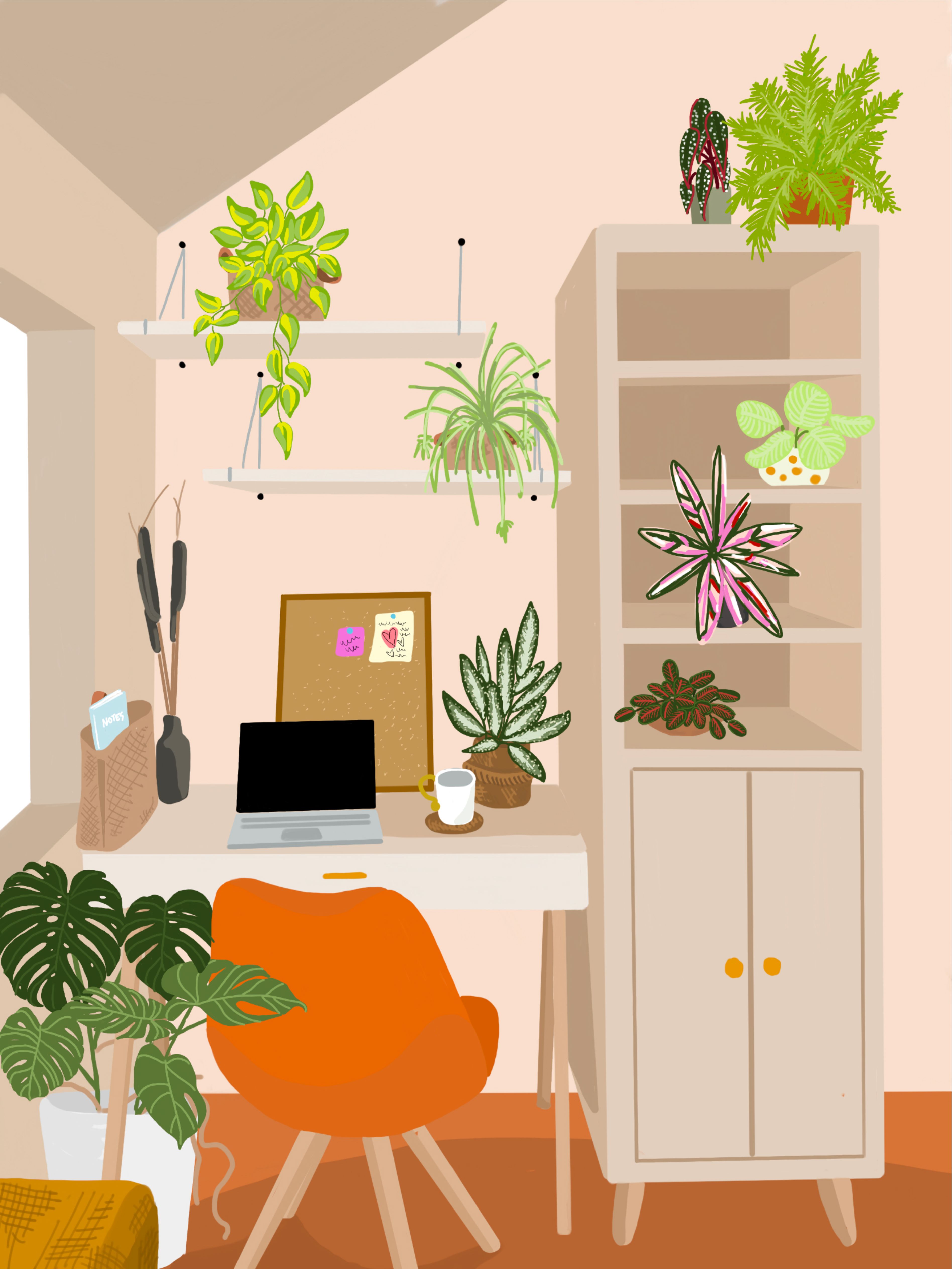 3792x5055 office plants