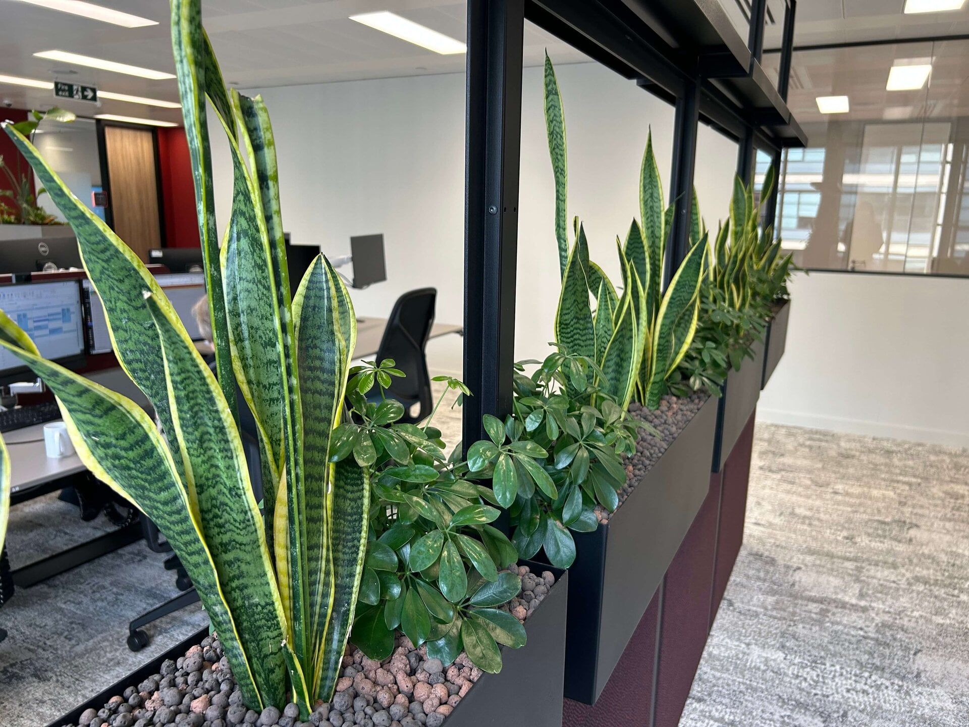 1920x1440 How to use office plants to create a healthier workspace
