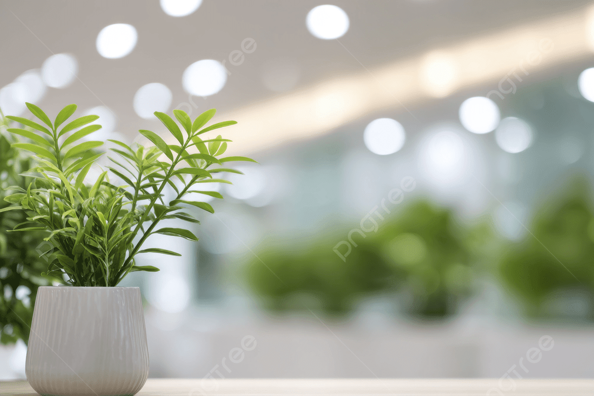 1200x800 Blurred Background Of A Modern Office Interior With Green Plants And Bokeh Lights, Blurred, Background, Modern Background Image And Wallpaper for Free Download