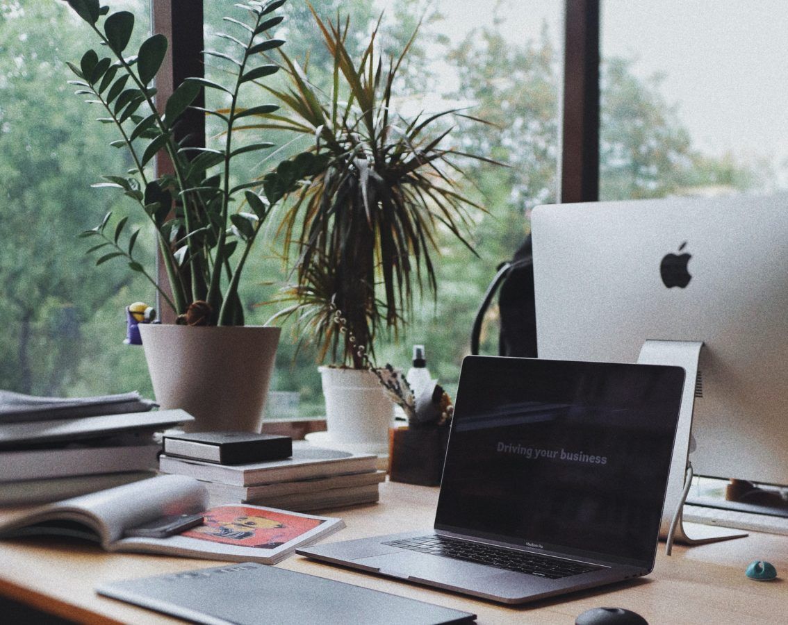 1134x900 Enhance productivity with these desk plants for your work space