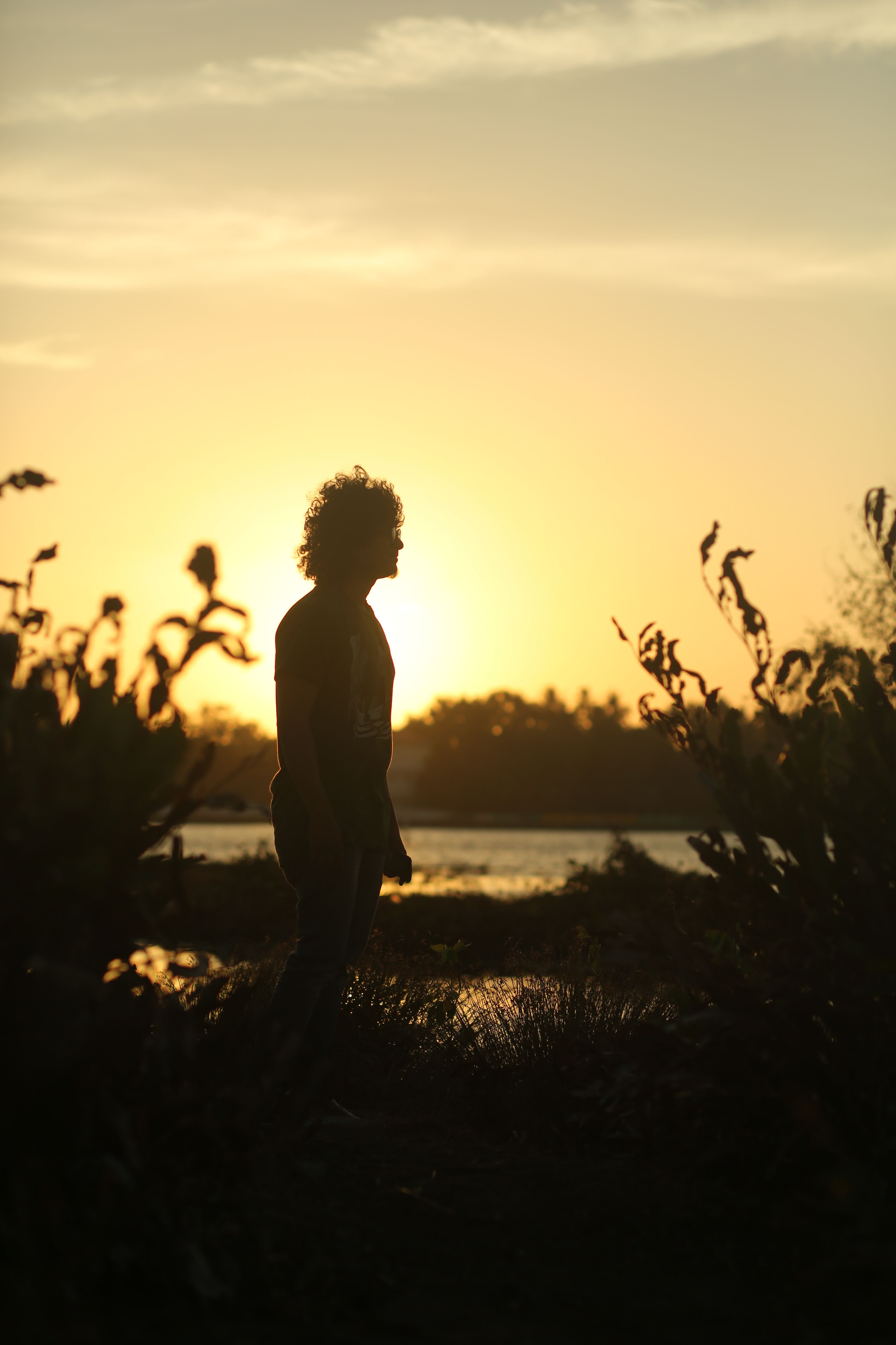 3840x5760 Silhouette of Man Standing on Grass Field during Sunset · Free