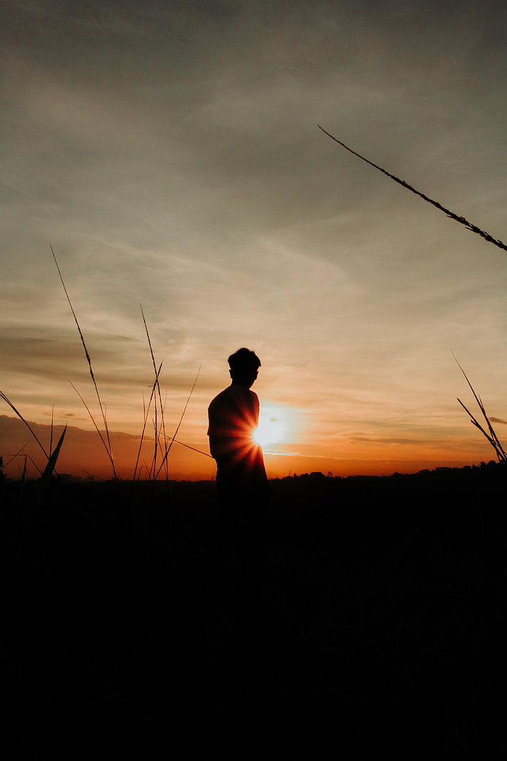 728x1092 HD wallpaper: person's hair, silhouette, man, light, sunset, sky, grass, nature
