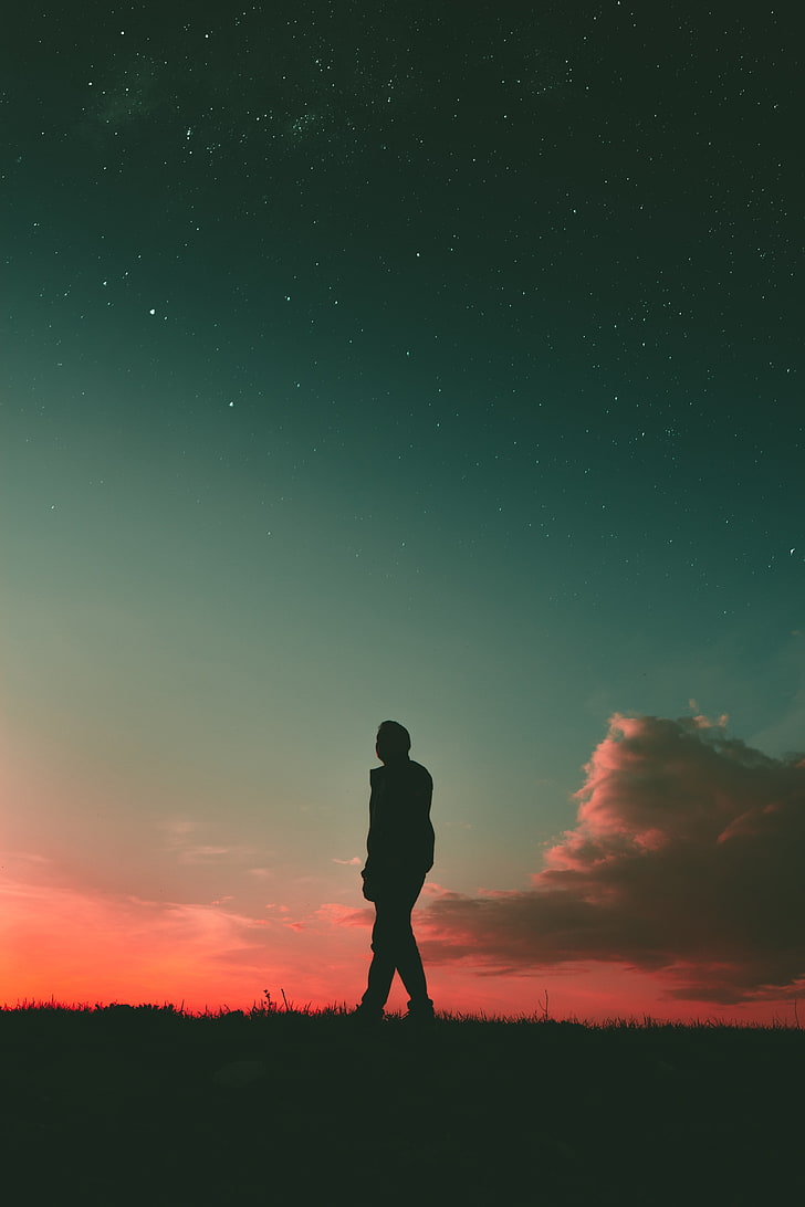728x1092 HD wallpaper: silhouette person, man, sunset, sky, walk, people, back Lit, outdoors