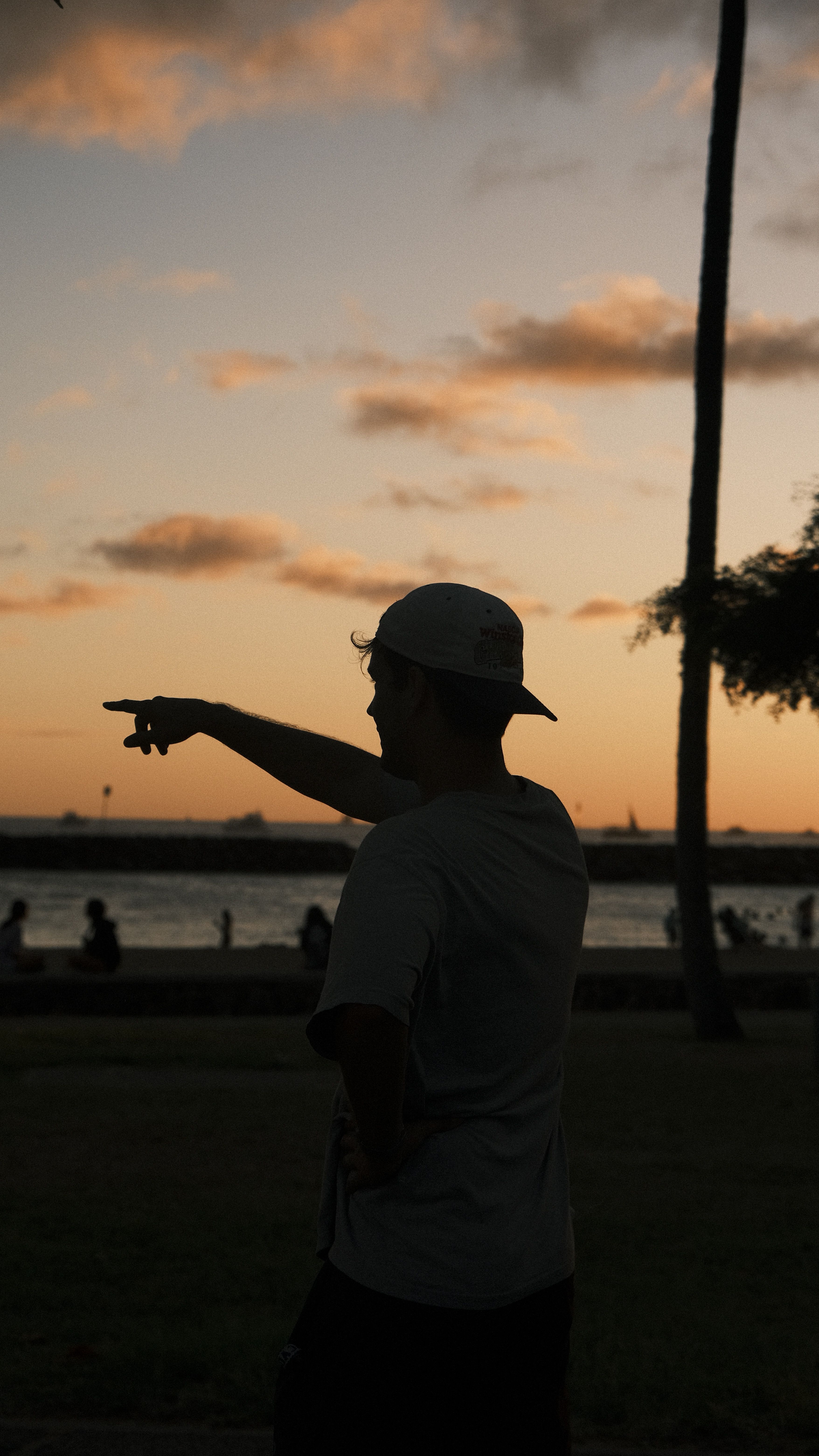 3512x6240 Silhouette of Man Pointing at Sunset Beach · Free