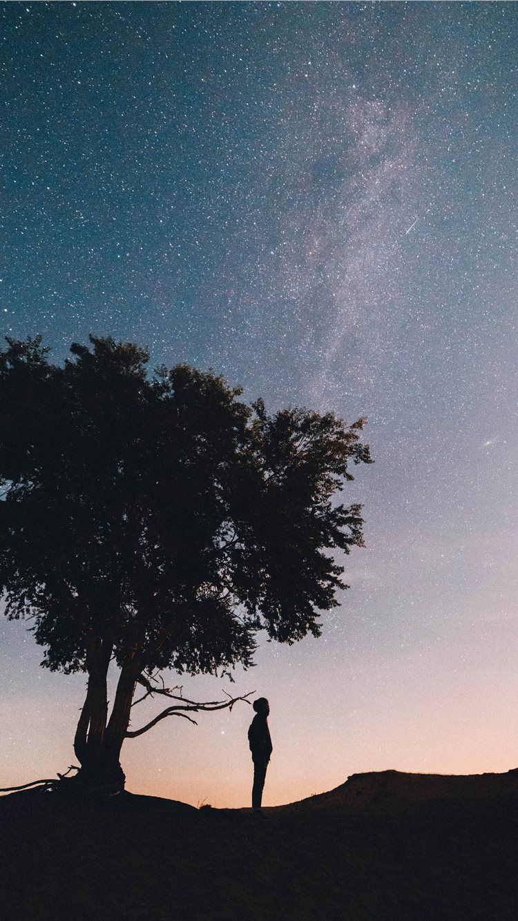 750x1334 silhouette of man standing under the tree iPhone 8 Wallpaper Free Download