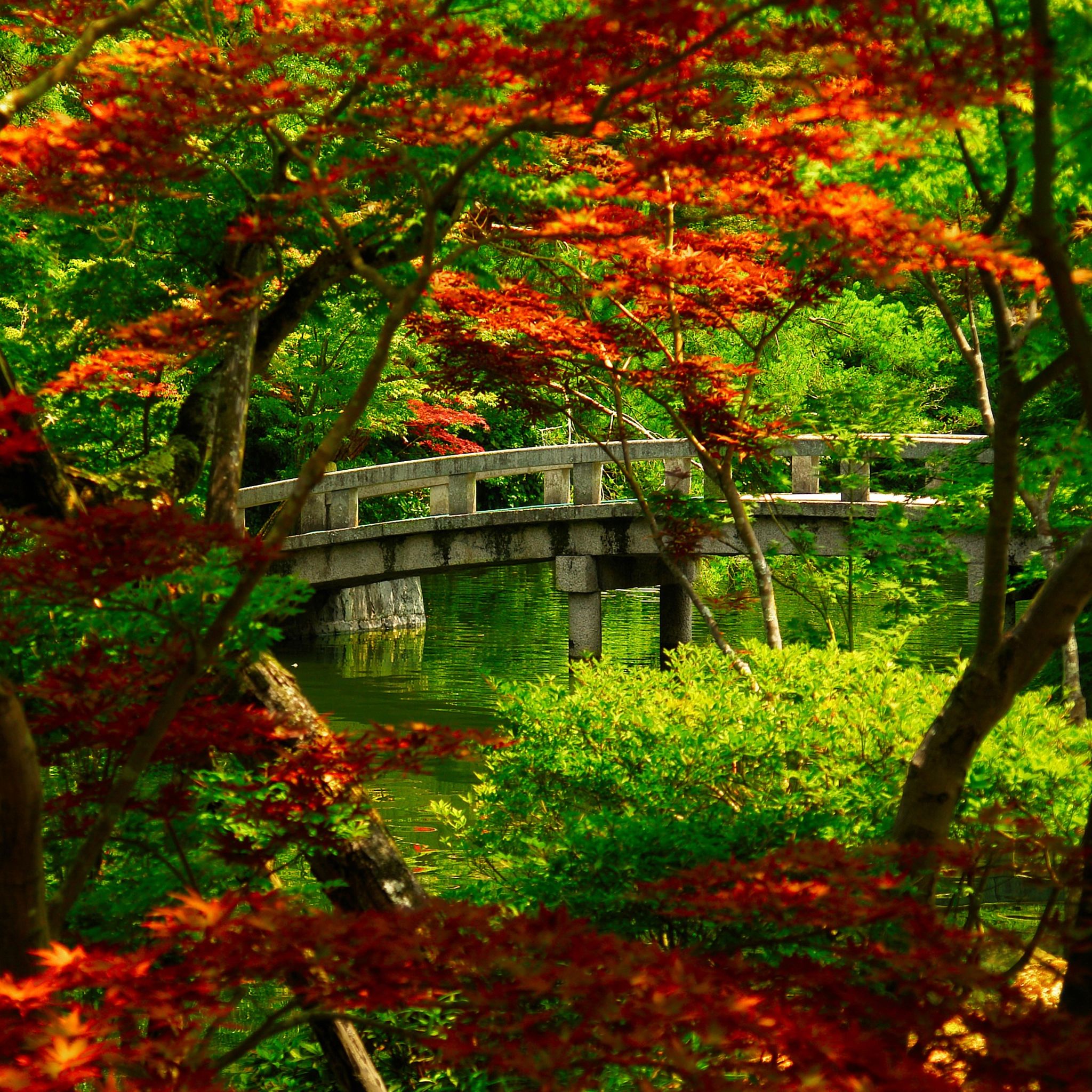 2048x2048 Japanese Garden Wallpaper for iPhone Pro Max, X, 6