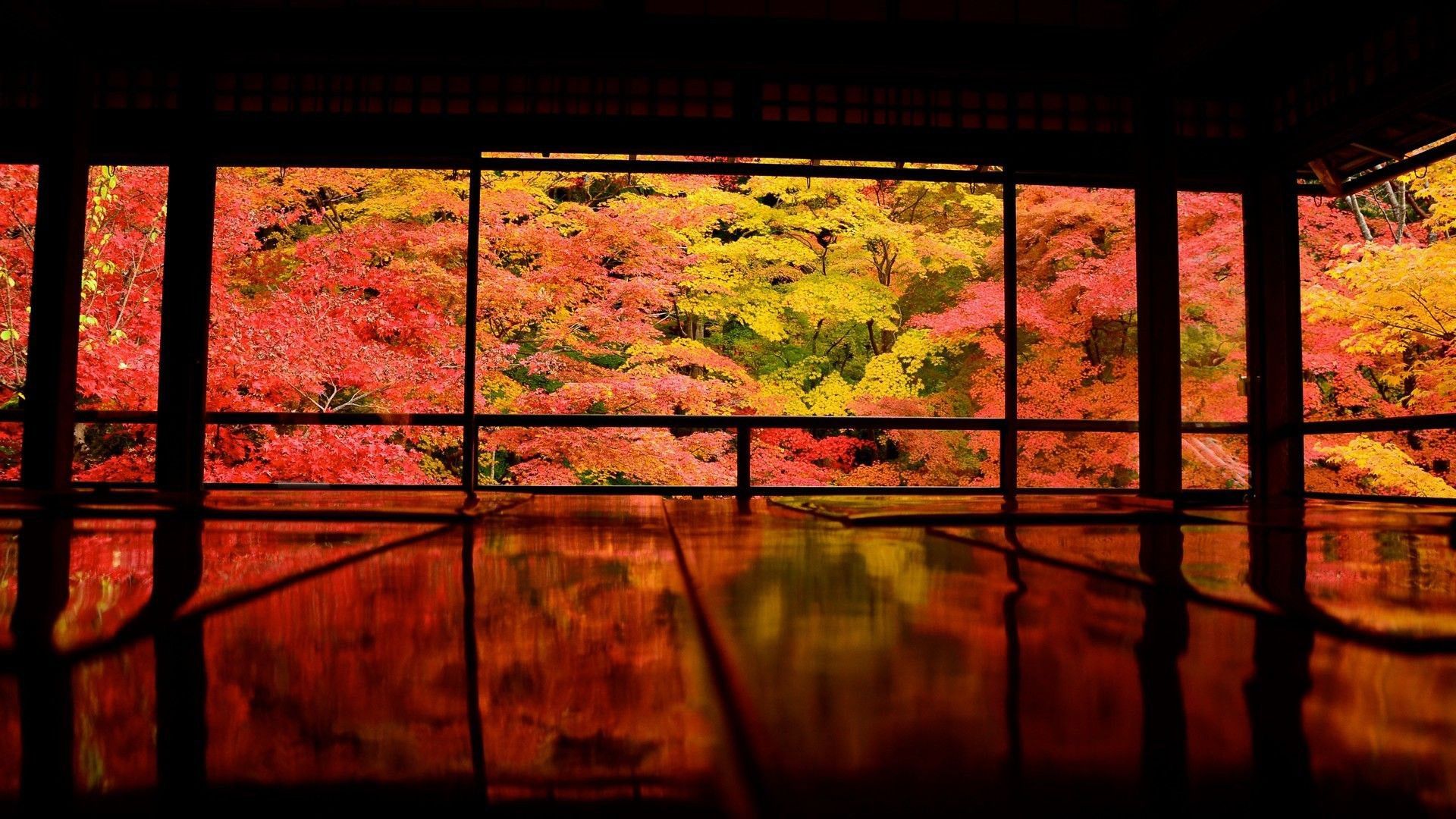 1920x1080 Japan Kyoto Asia Colorful Trees Reflection HD Japanese Wallpaper