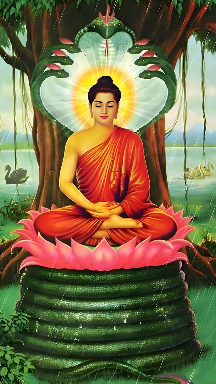 736x1308 Buddha ambedkar wallpaper. Buddha cobra, Goutam buddha wallpaper, Lord buddha