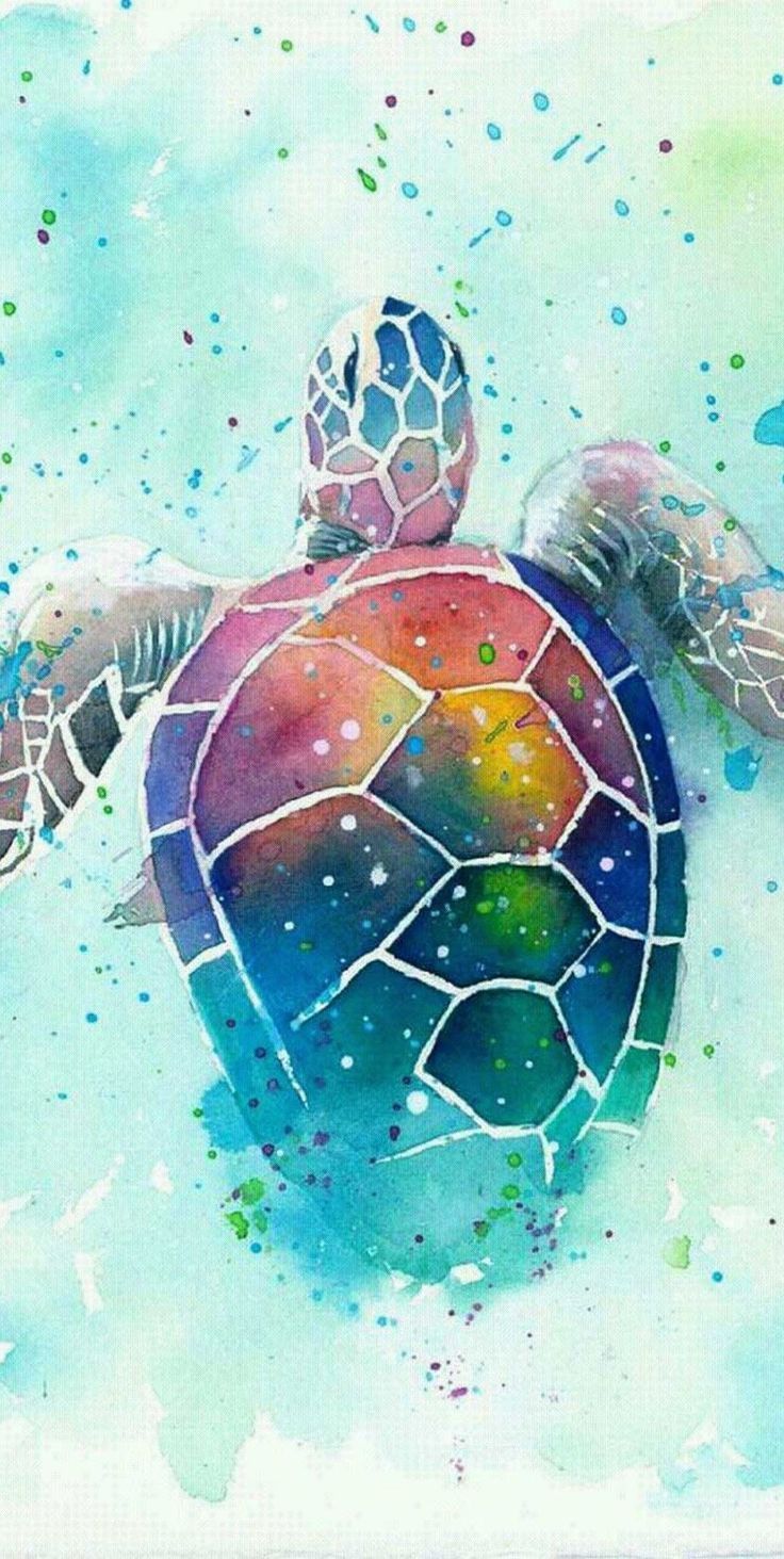 736x1463 Turtle Wallpaper
