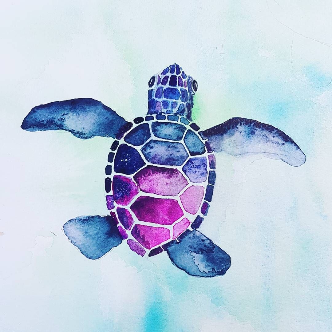 1080x1080 Turtle Drawings Wallpaper