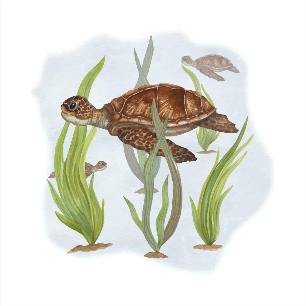 980x980 Watercolor illustration of turtles among weeds. Can be used for wallpaper, print, baby textile, scrapbooking, postcards, clothing. Cartoon style
