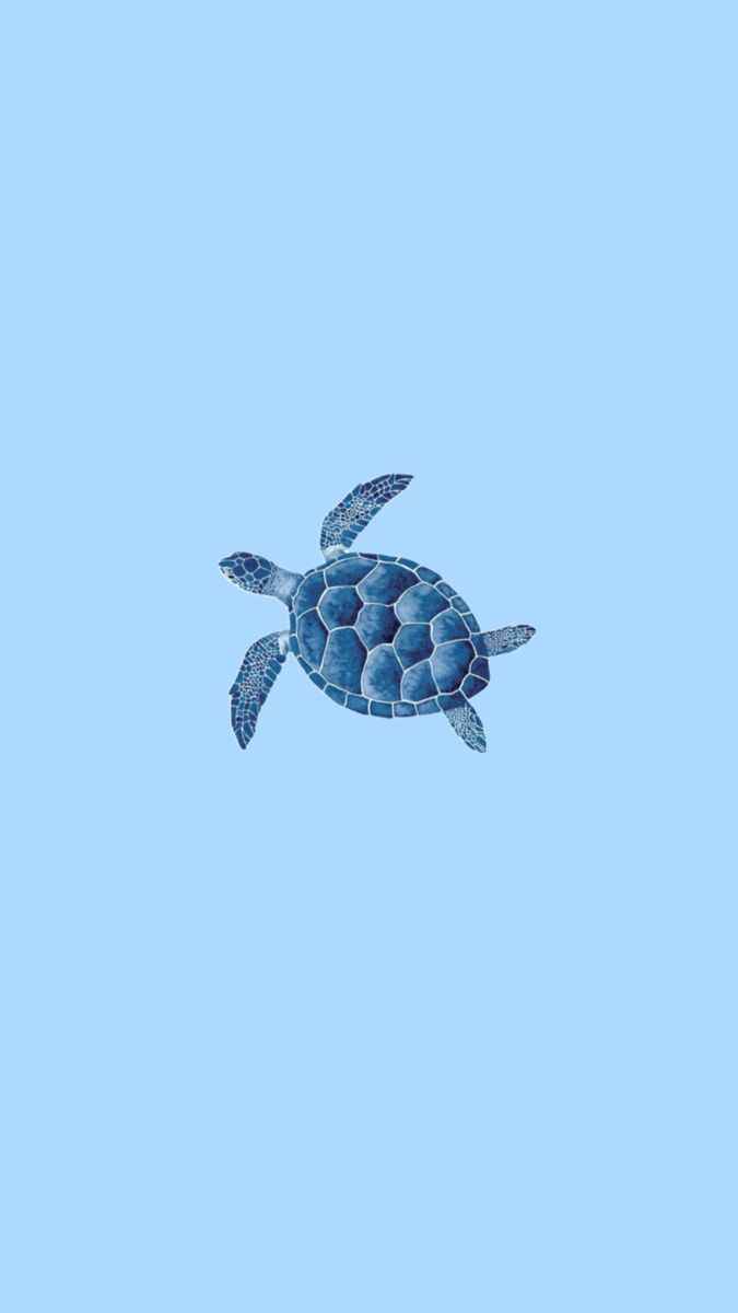 675x1200 Blue turtle. Minimal drawings, Turtle drawing, Water aesthetic