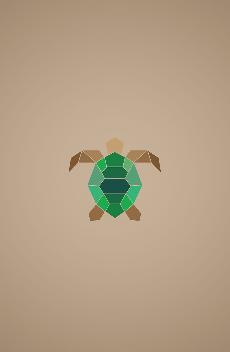 800x1221 Green Turtle, animal, art, desenho, drawing, earth day, endangered, green grown iphone samsung oneplus android ios, HD phone wallpaper