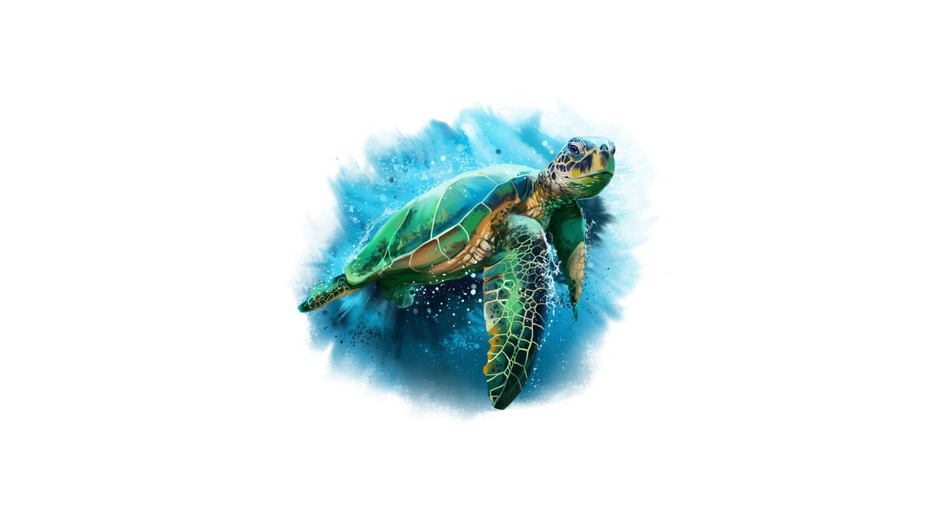 1920x1080 Majestic Turtle Drawing