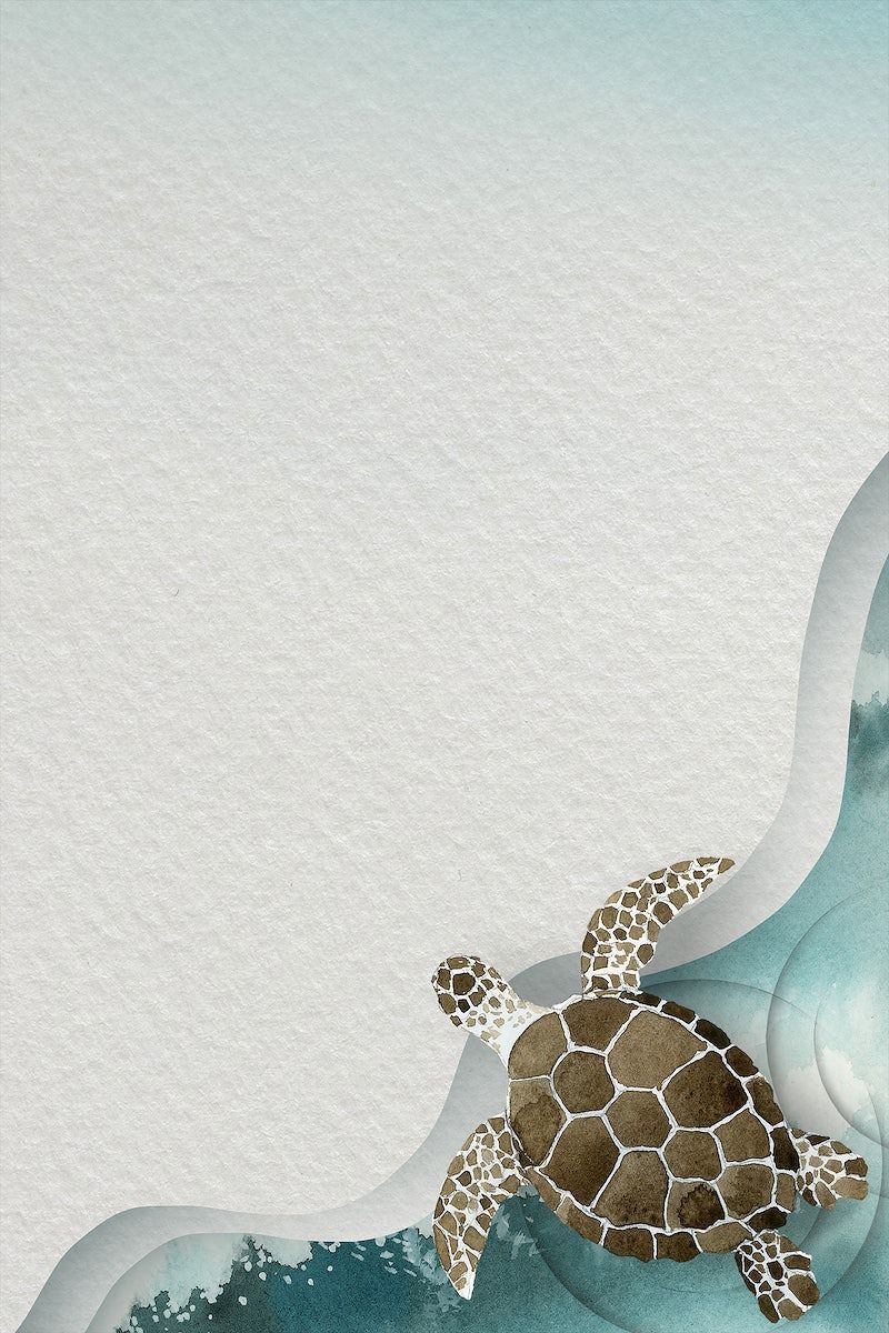 800x1200 Turtle Art Wallpaper