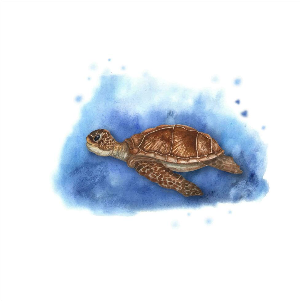 980x980 Hand drawn illustration with turtle. Can be used for wallpaper, print, baby textile, scrapbooking, postcards, clothing. Cartoon style
