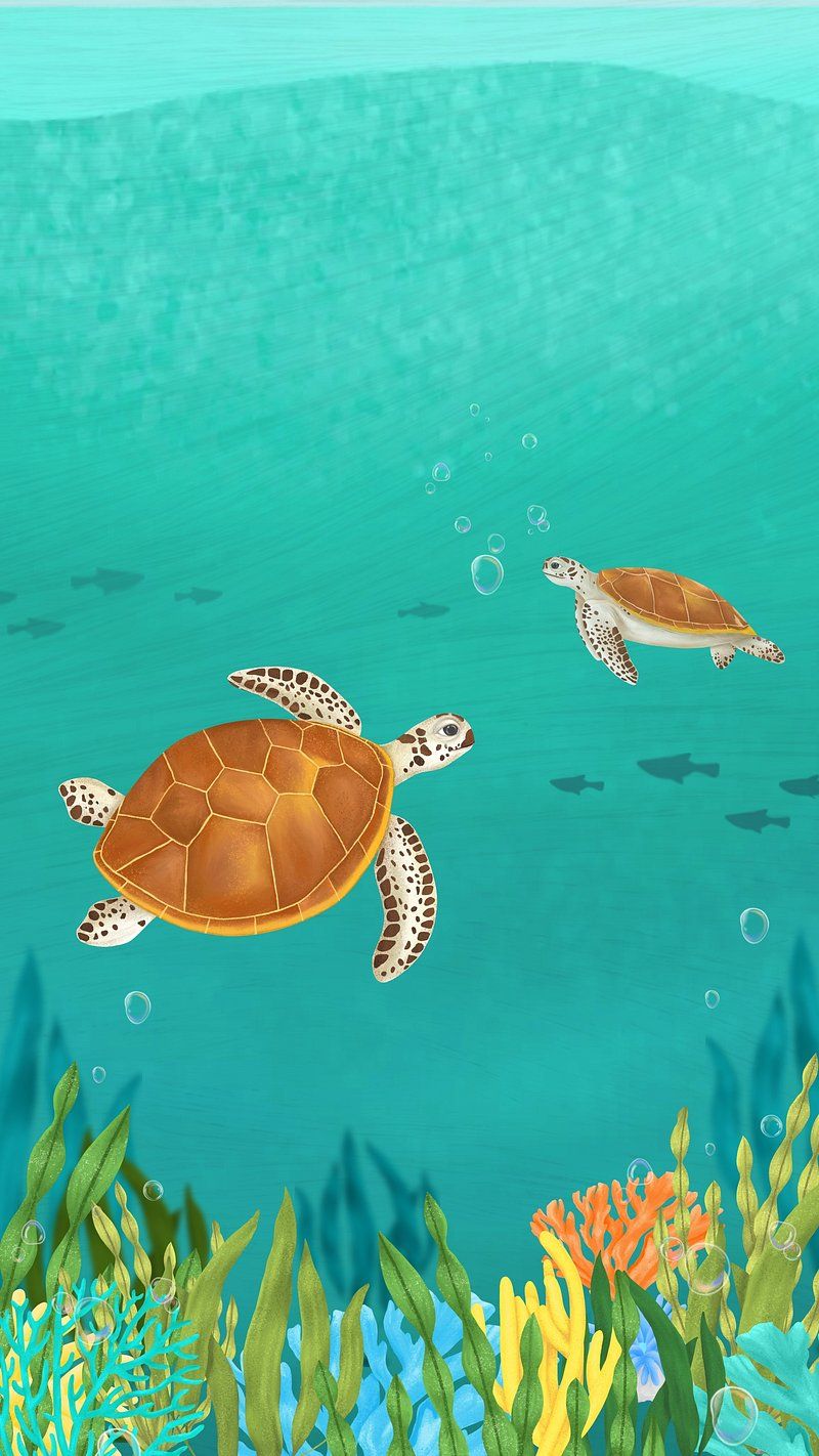 800x1422 Wallpaper Cute Turtle Image Wallpaper
