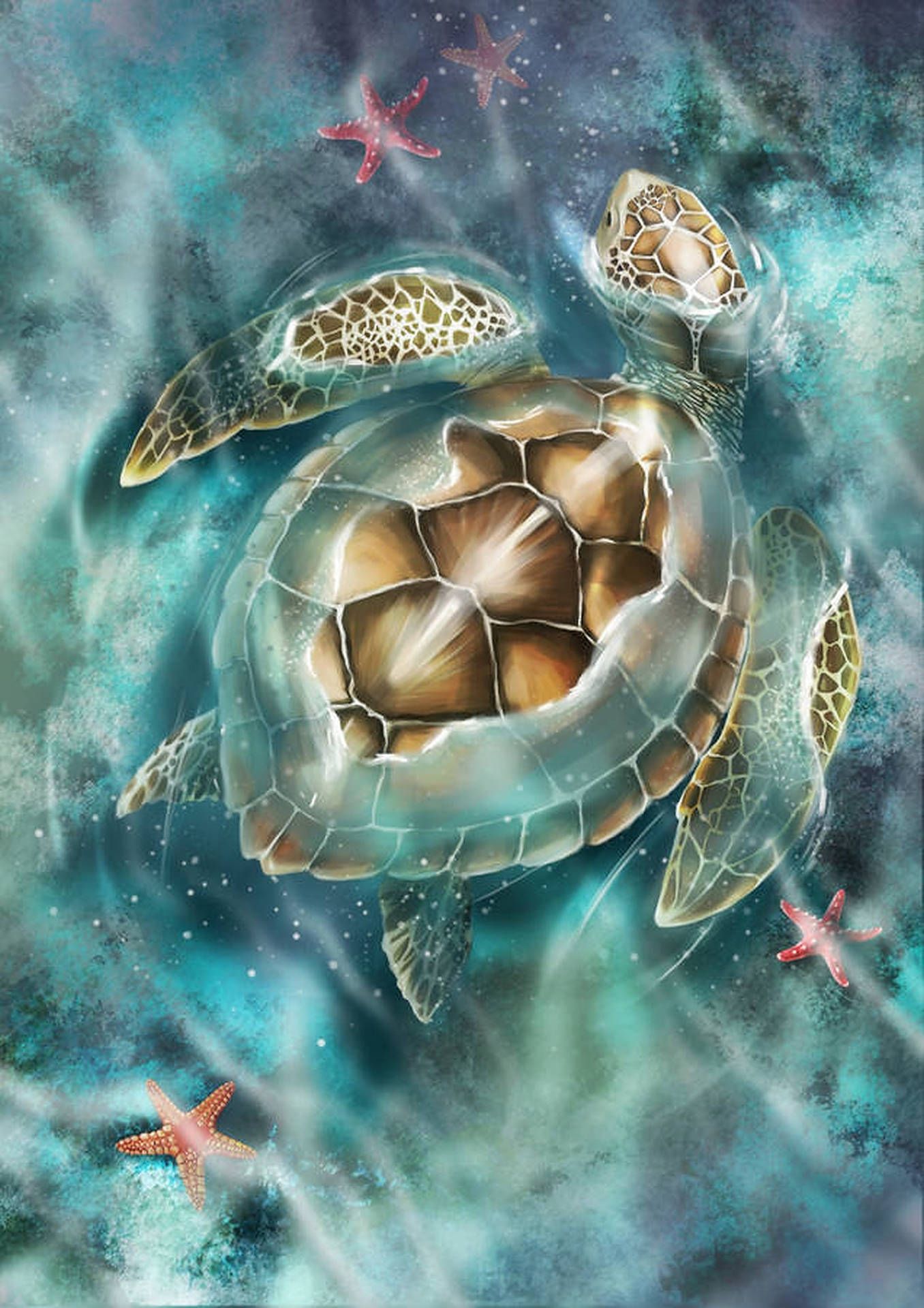 1356x1920 Download Turtle Vector Art Wallpaper