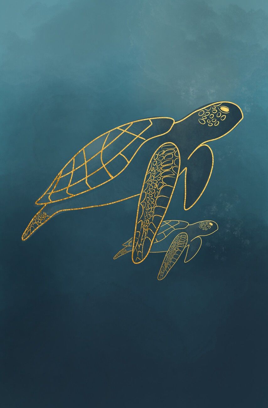 854x1300 Poster Turtles. Wall Art 1 FREE