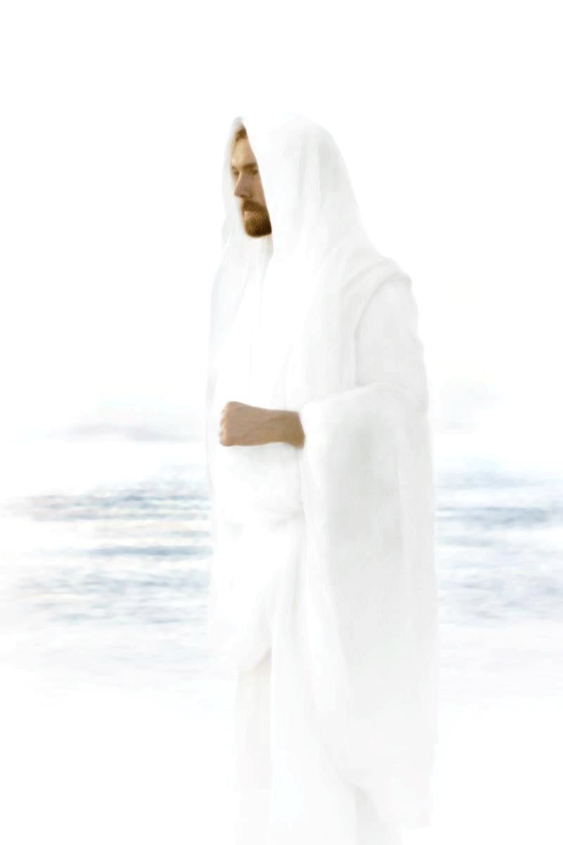 800x1200 Peace in Christ Edition Print / 11 X 14 / Print Only