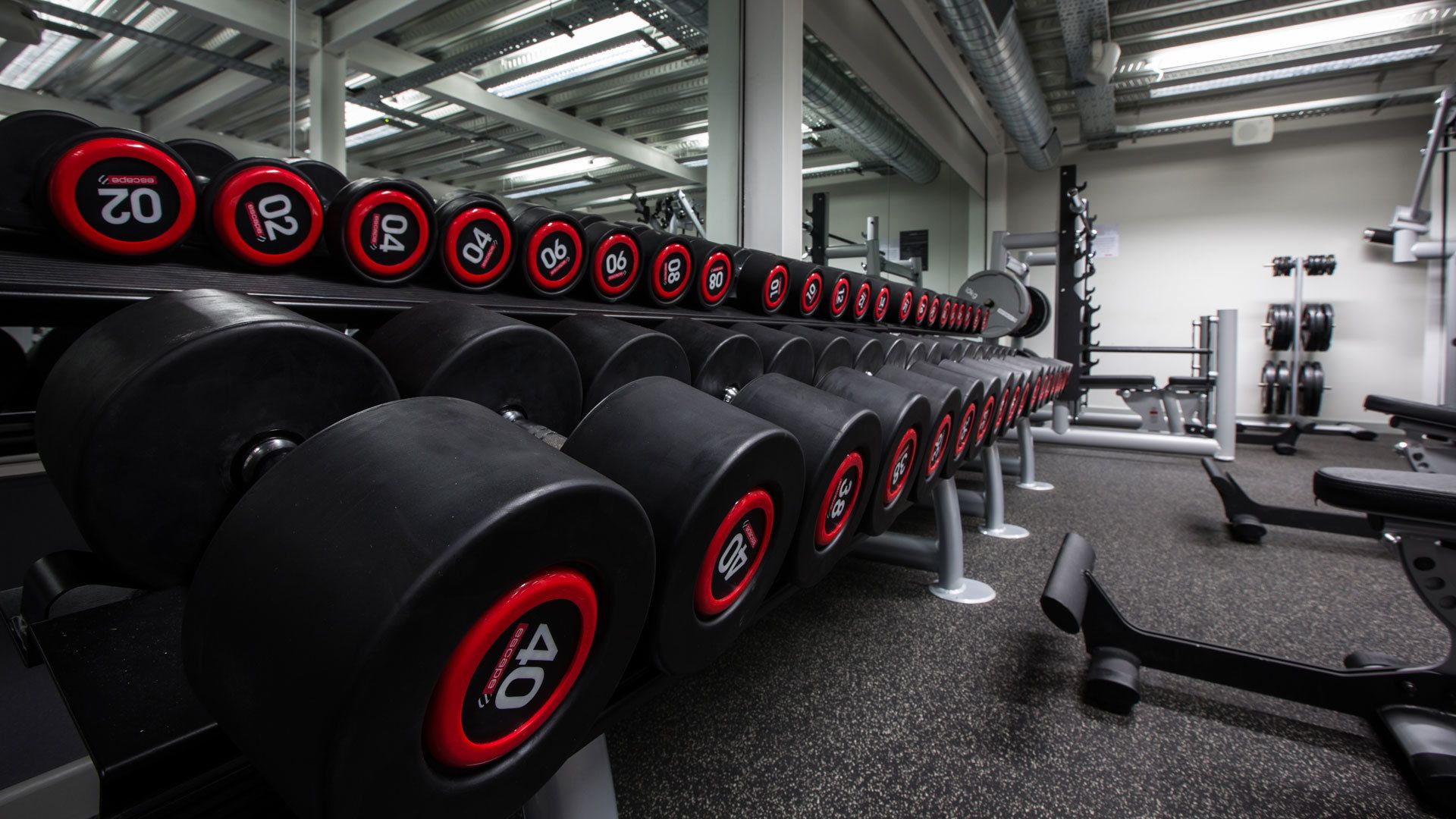 1920x1080 Wallpaper interior, hall, rocking, dumbbells, gym, fitness for mobile and desktop, section спорт, resolution 1920x1080