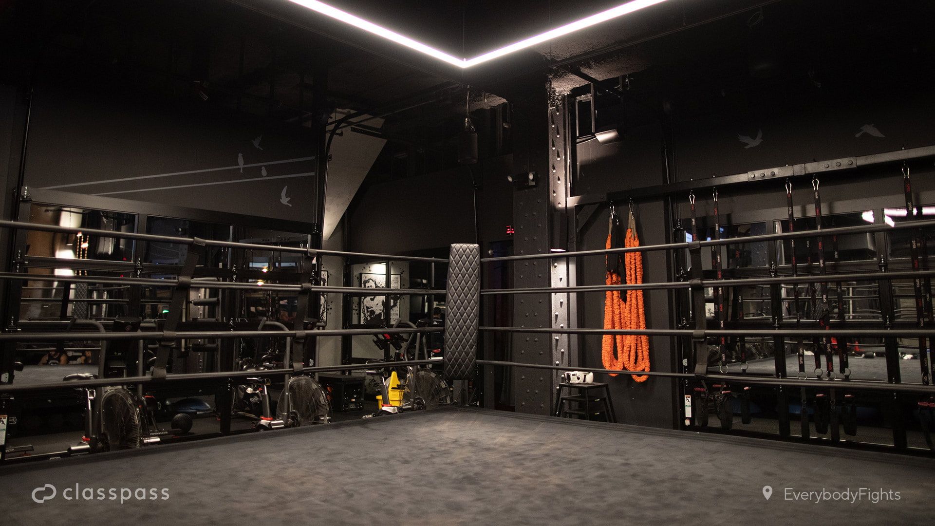 1920x1080 ClassPass Zoom Fitness Background