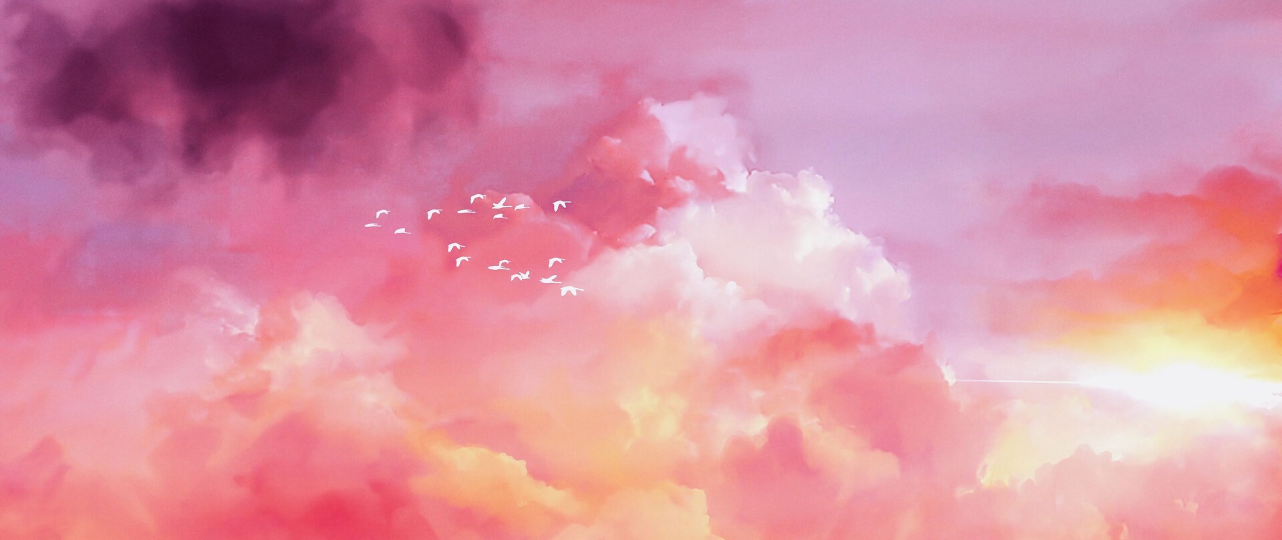 2560x1080 Download wallpaper 2560x1080 birds, flock, pink, sky dual wide 1080p HD background